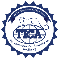 TICA Ragdoll Kittens Cattery